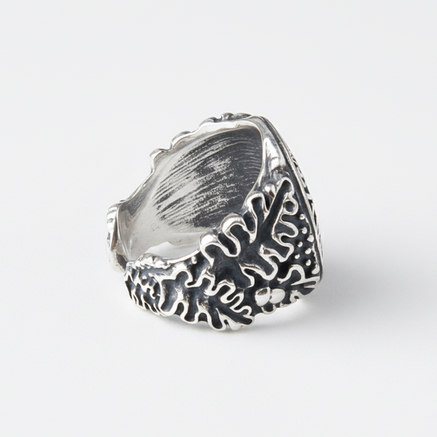 Vegvisir Rune Ring in Silver